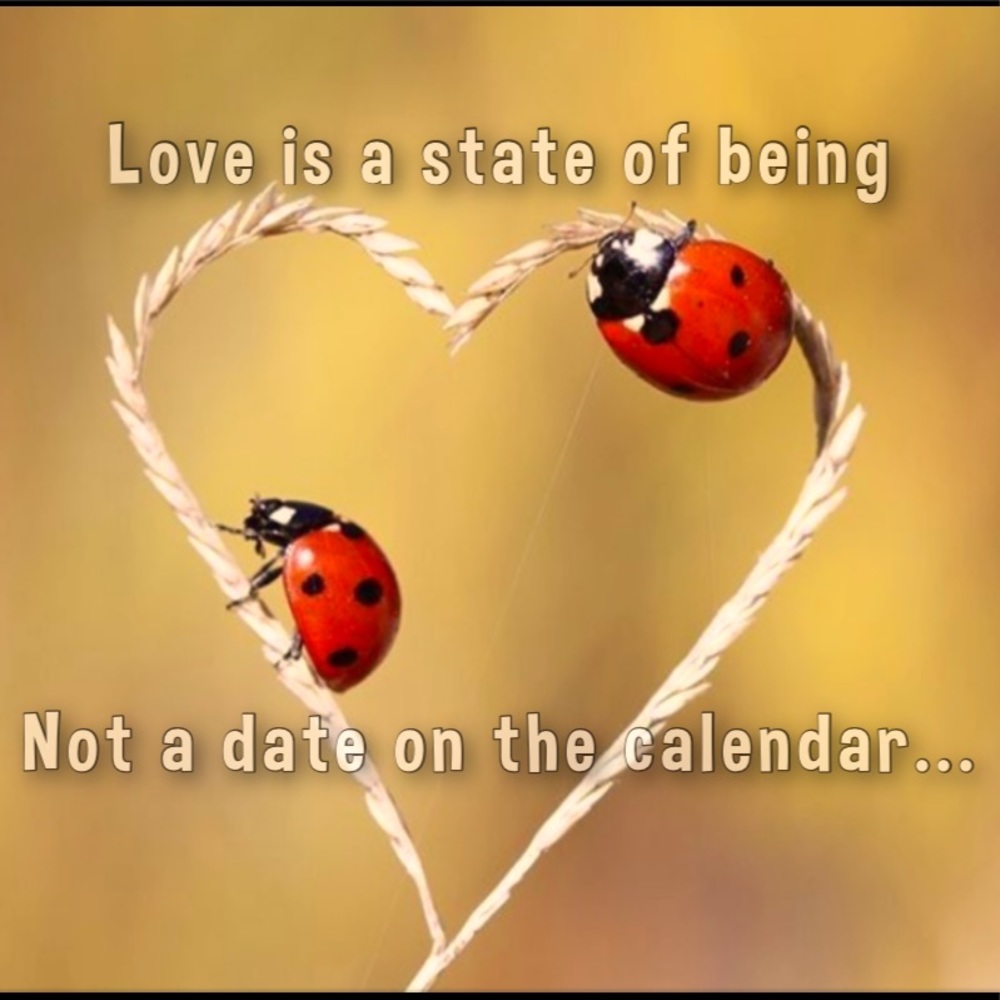 ✨❤️LOVE❤️✨